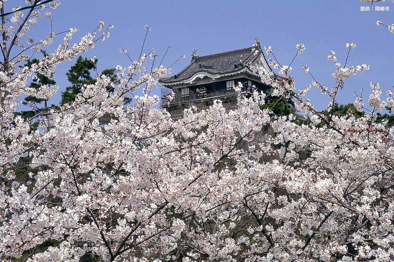 Love hôtel Waltz (adults Only) Okazaki